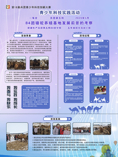 科技实践活动11：--84团骆驼养殖基地发展前景的考察